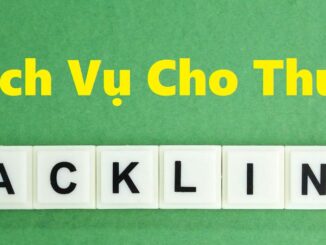 Dịch vụ cho thuê backlink
