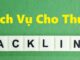 Dịch vụ cho thuê backlink